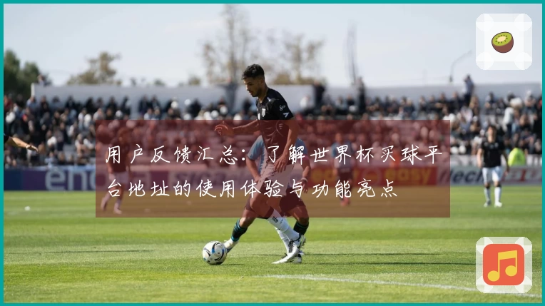 用户反馈汇总：了解世界杯买球平台地址的使用体验与功能亮点