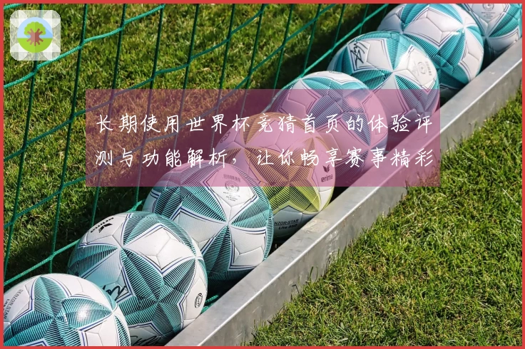 长期使用世界杯竞猜首页的体验评测与功能解析，让你畅享赛事精彩！