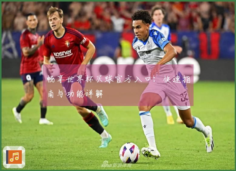 畅享世界杯买球官方入口：快速指南与功能详解