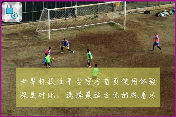 世界杯投注平台官方首页使用体验深度对比，选择最适合你的观看方式