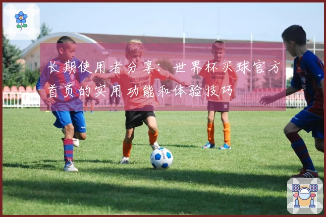 长期使用者分享：世界杯买球官方首页的实用功能和体验技巧