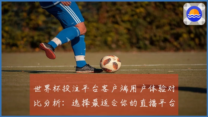 世界杯投注平台客户端用户体验对比分析：选择最适合你的直播平台