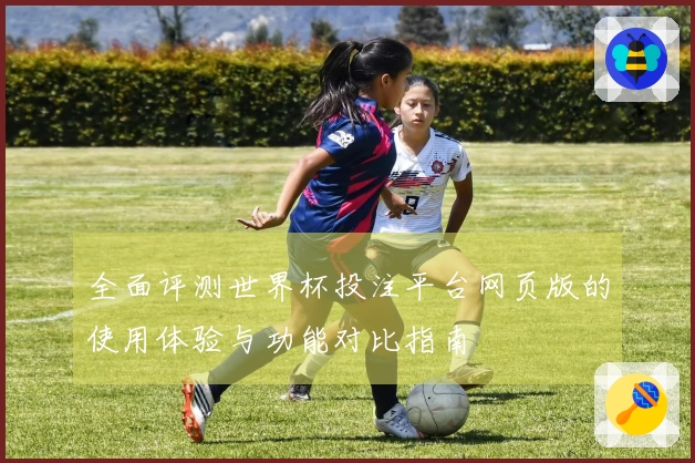 全面评测世界杯投注平台网页版的使用体验与功能对比指南